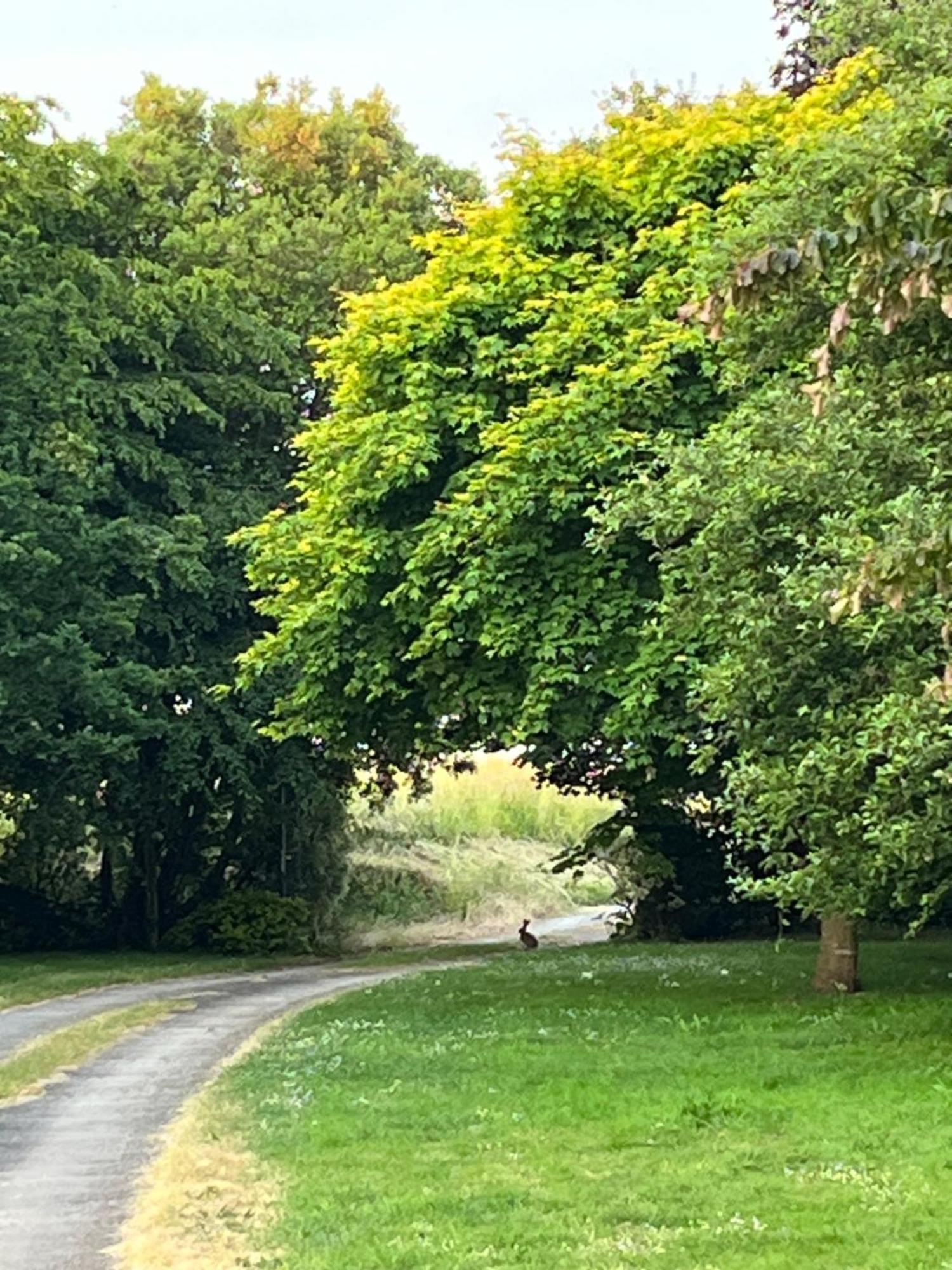 Plouër-sur-Rance Manoir Des Bords De Rance Bed & Breakfast エクステリア 写真