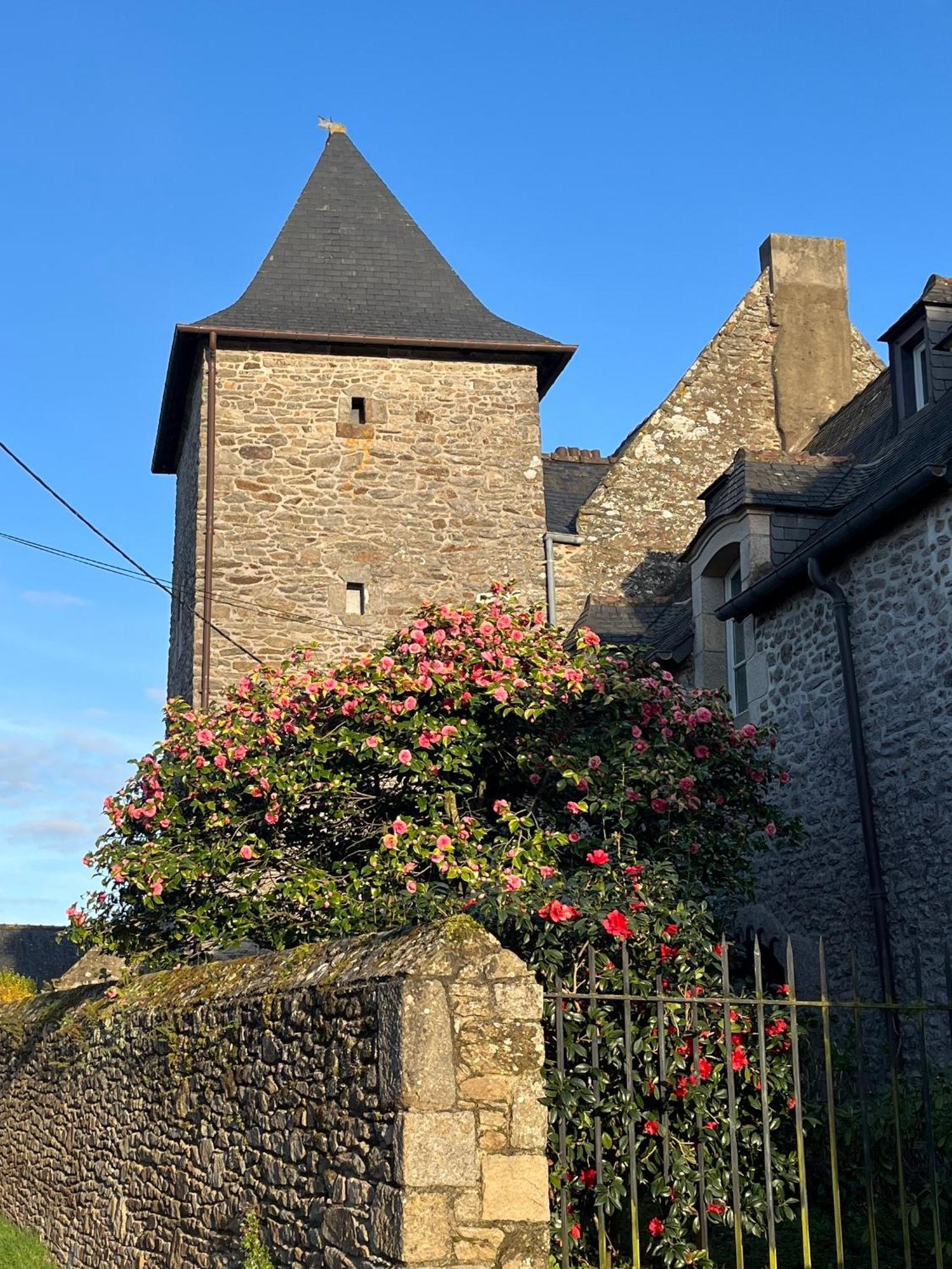 Plouër-sur-Rance Manoir Des Bords De Rance Bed & Breakfast エクステリア 写真