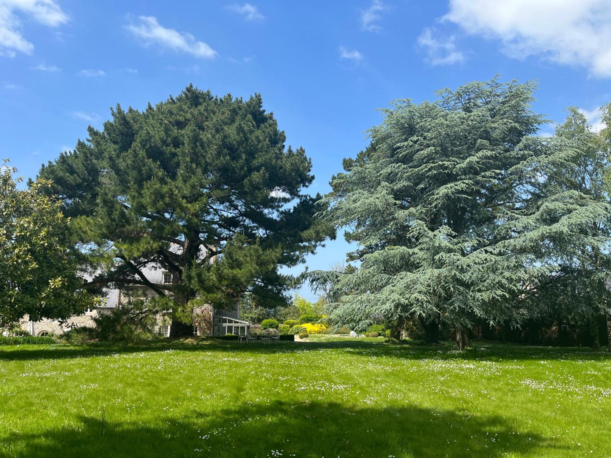 Plouër-sur-Rance Manoir Des Bords De Rance Bed & Breakfast エクステリア 写真