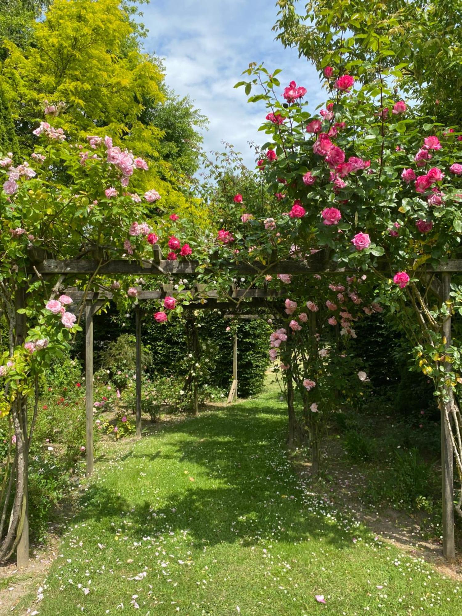 Plouër-sur-Rance Manoir Des Bords De Rance Bed & Breakfast エクステリア 写真