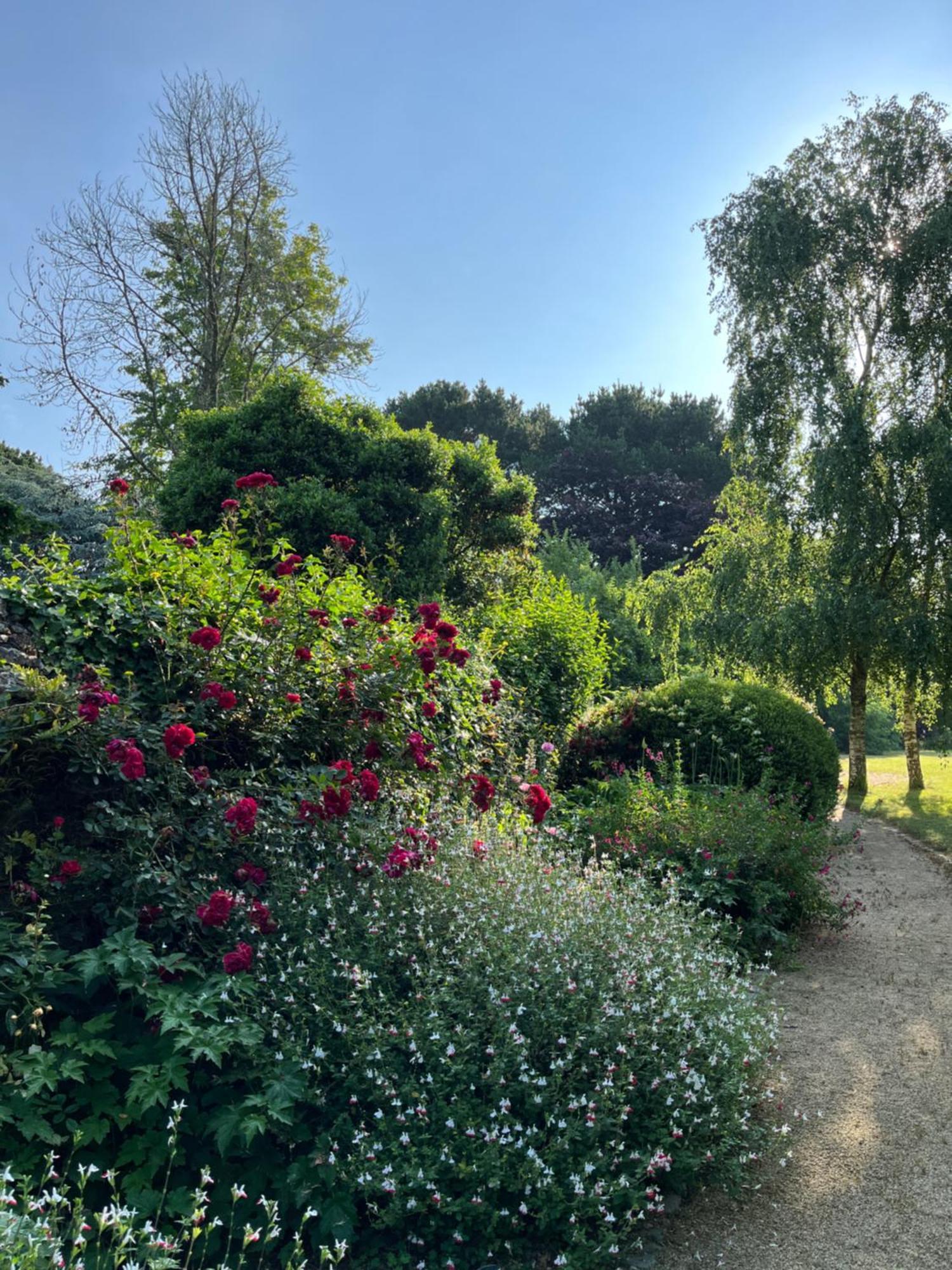 Plouër-sur-Rance Manoir Des Bords De Rance Bed & Breakfast エクステリア 写真